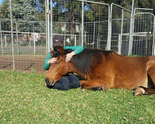 emma sitting and patting a horse