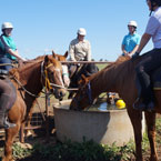 supervised trail rides